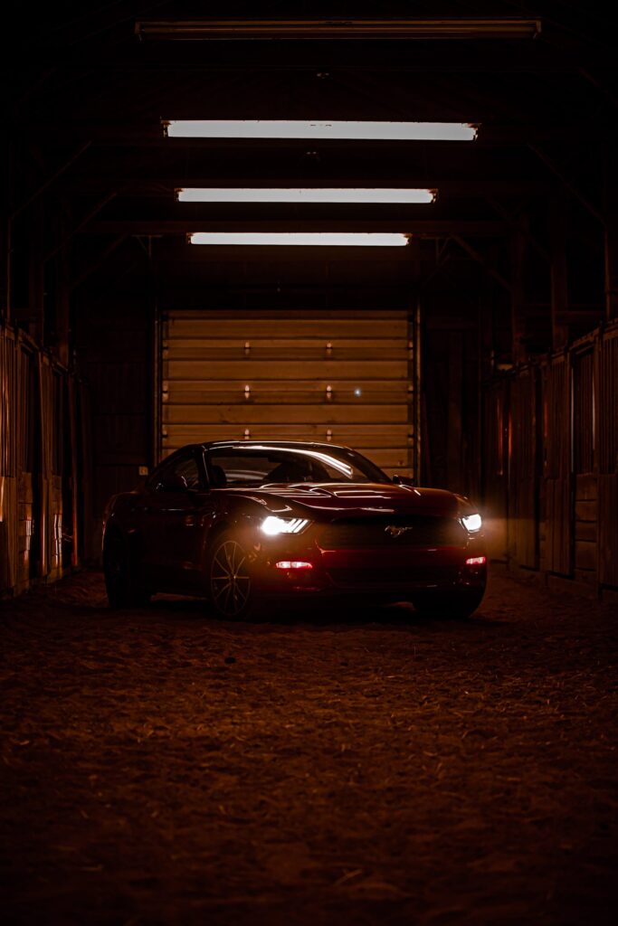 mustang z import usa kanada